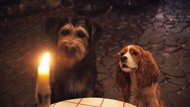 "Lady and The Tramp" Klibinde Romantik Yemekte Buluşuyoruz!