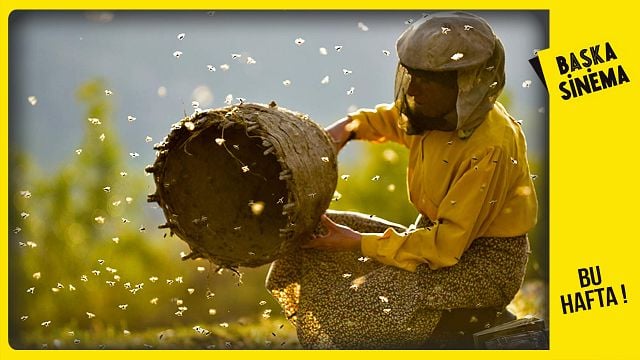 Başka Sinema'da Bu Hafta: "Annelerimiz", "Bal Ülkesi" haber görseli