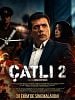 Çatlı 2 posteri