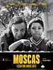 Moscas posteri