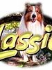 Lassie (1997) posteri