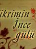 Fikrimin İnce Gülü posteri