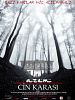 Azem: Cin Karası posteri