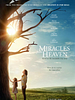 Miracles From Heaven posteri