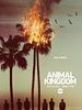 Animal Kingdom posteri