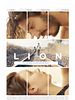 Lion posteri