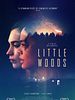 Little Woods posteri