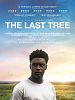The Last Tree posteri