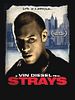 Strays posteri