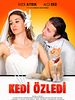 Kedi Özledi posteri