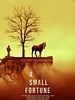 A Small Fortune posteri