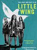Little Wing posteri