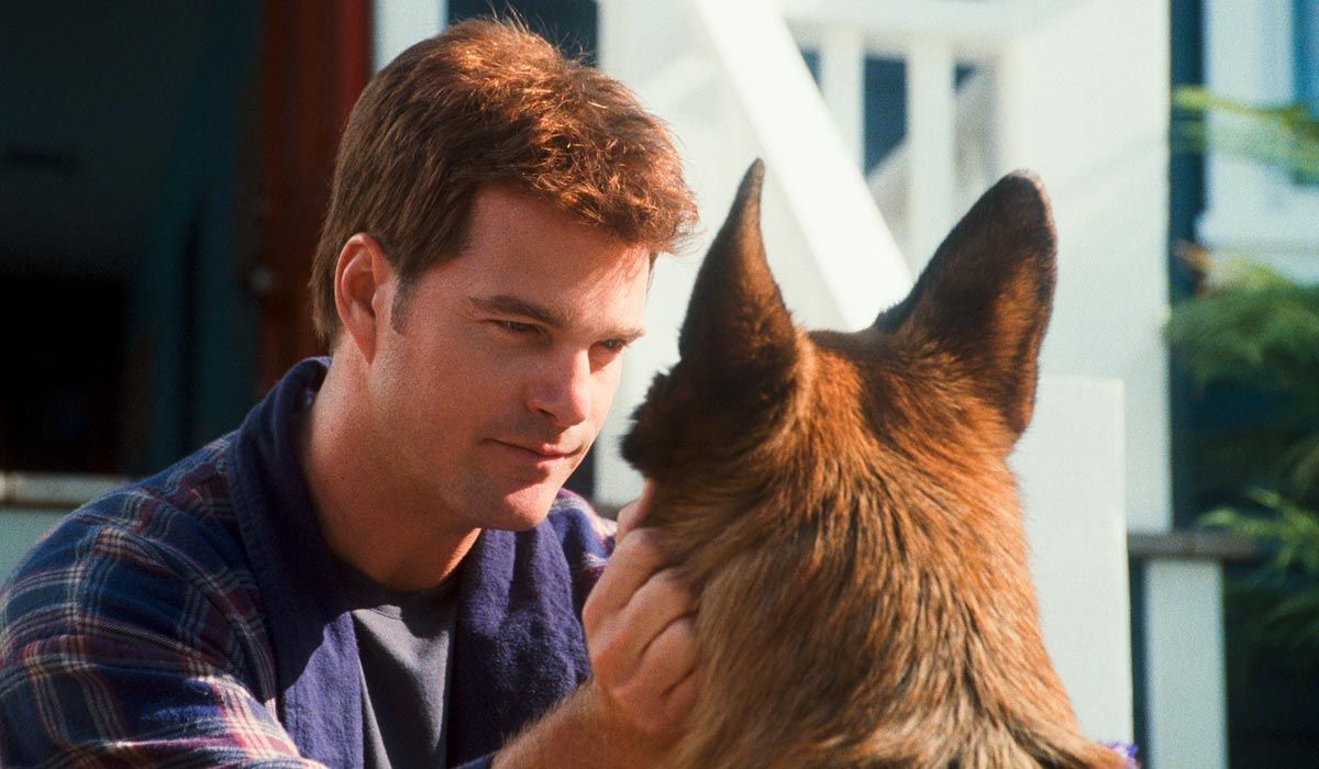 Kediler Ve Kopekler Kitty Galore Un Intikami Resimleri Fotograf 4 Beyazperde Com