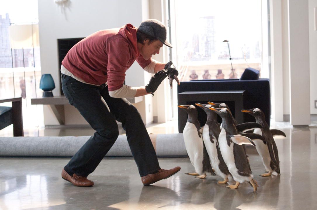 Babamın Penguenleri