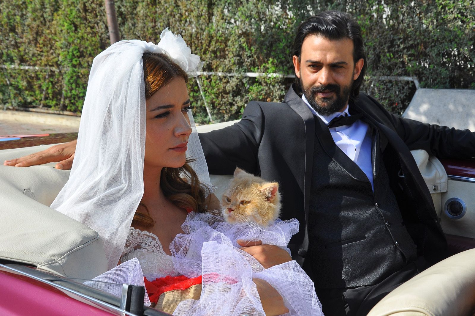 Kedi Özledi resimleri Fotoğraf 9