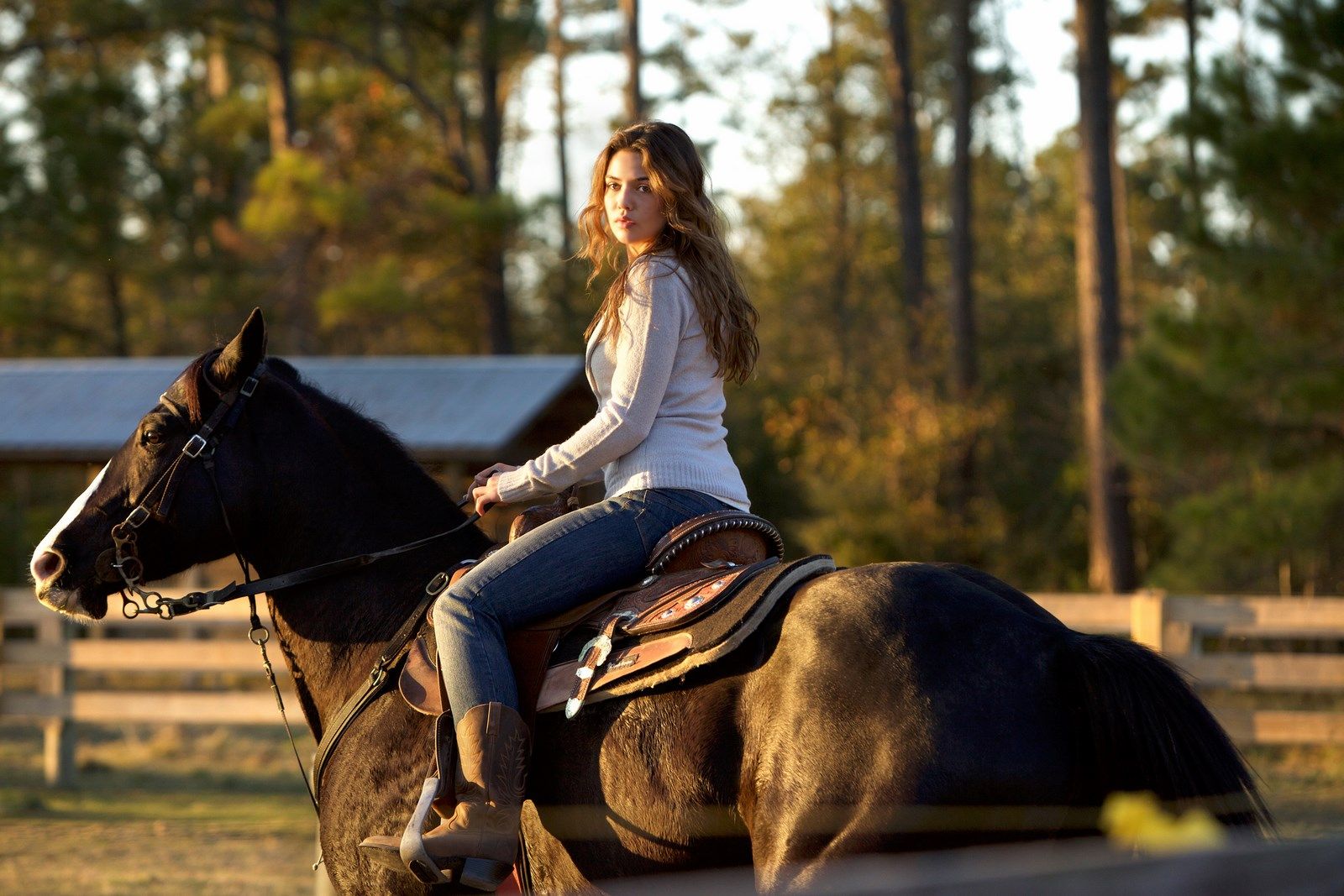 гибрид фильм. гонка во имя спасения фильм поцелуй. гонка во имя спасения фильм 2016. Race to redemption, 2016 фильм. во имя спасения отзывы.