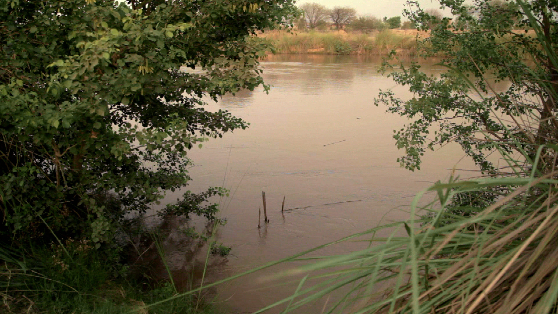 Down by the river. Река Оскар. Пакистан фильм девушка в реке. Девушка в реке история прощения. Девушка в реке цена прощения.