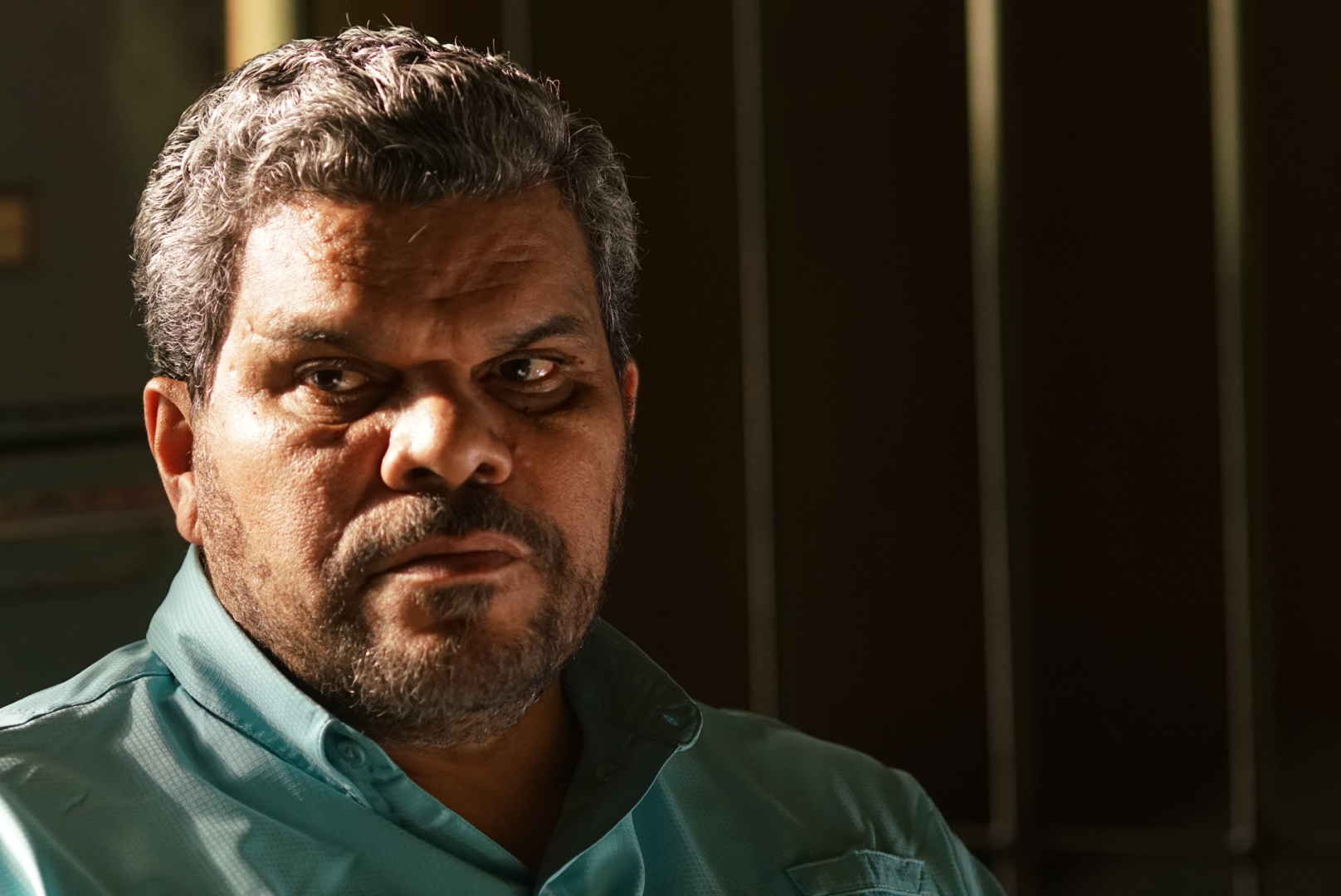 Imdb luis guzman