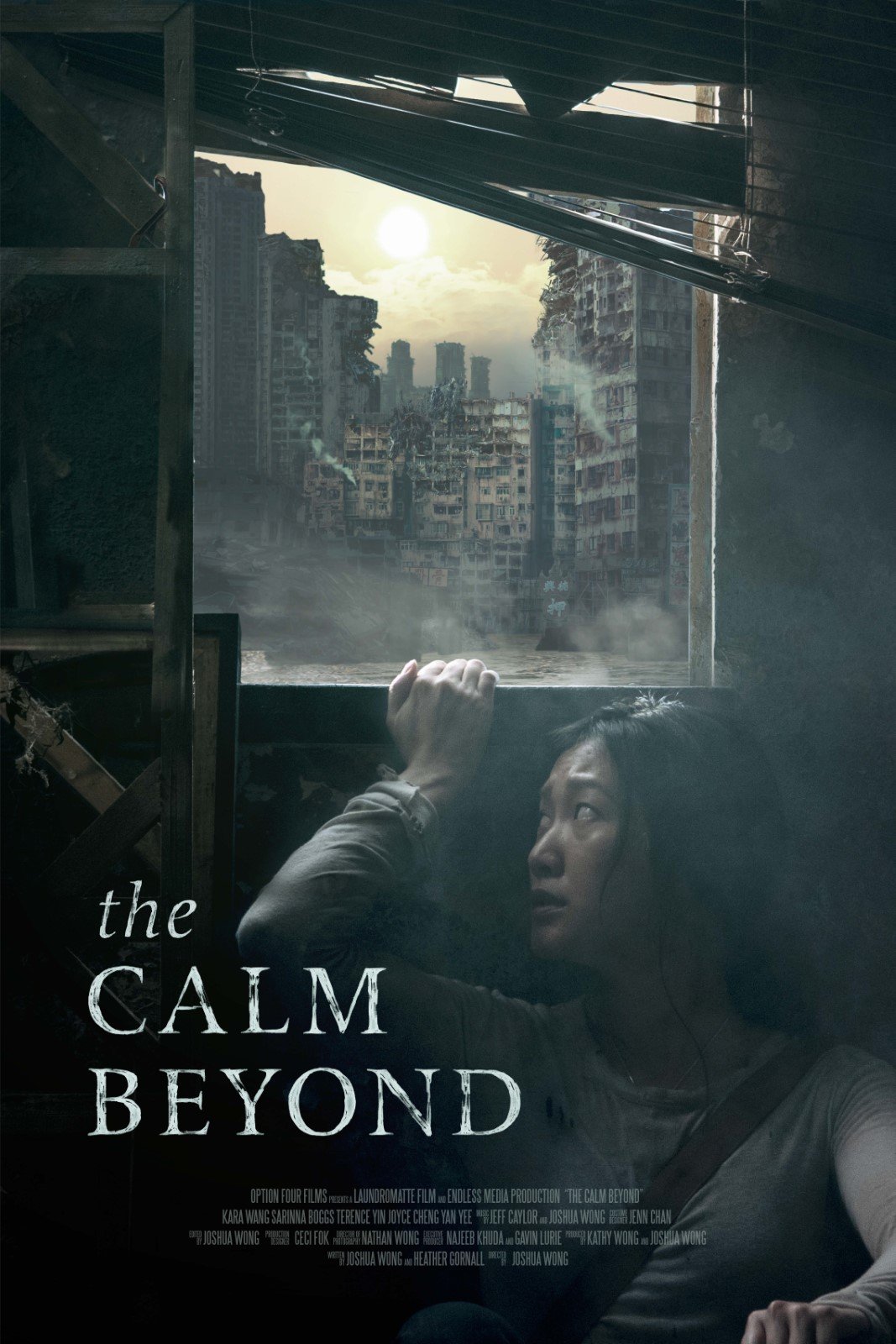 The Calm Beyond - 2020 filmi - Beyazperde.com