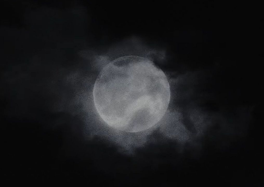 Werwulf : Fotoğraf