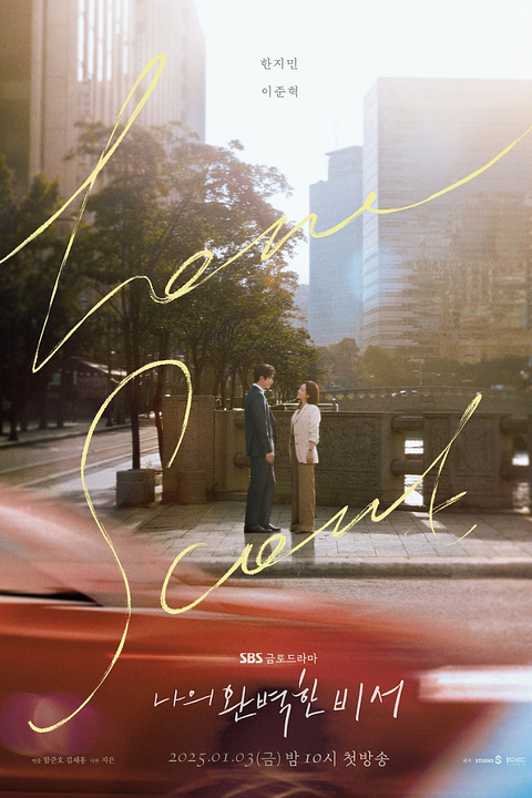 Naui Wanbyeokhan Biseo : Afiş