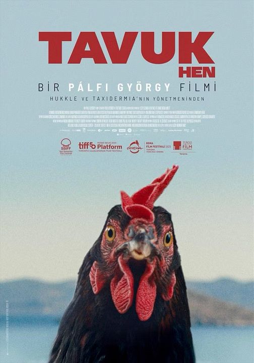 Tavuk : Afiş