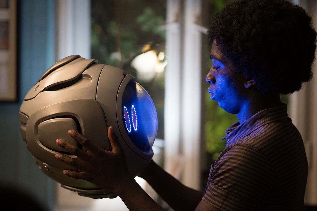 Momo : Fotoğraf Araloyin Oshunremi