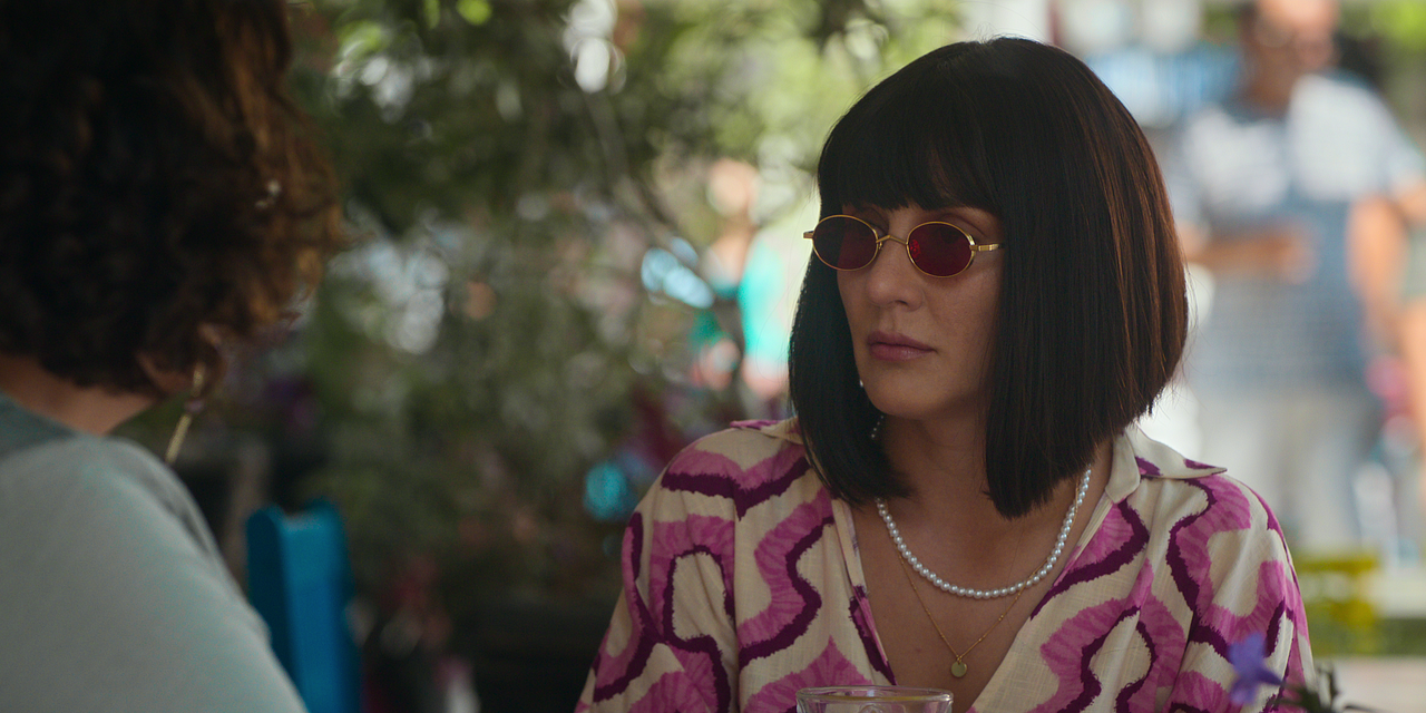 Zeytin Ağacı : Fotoğraf