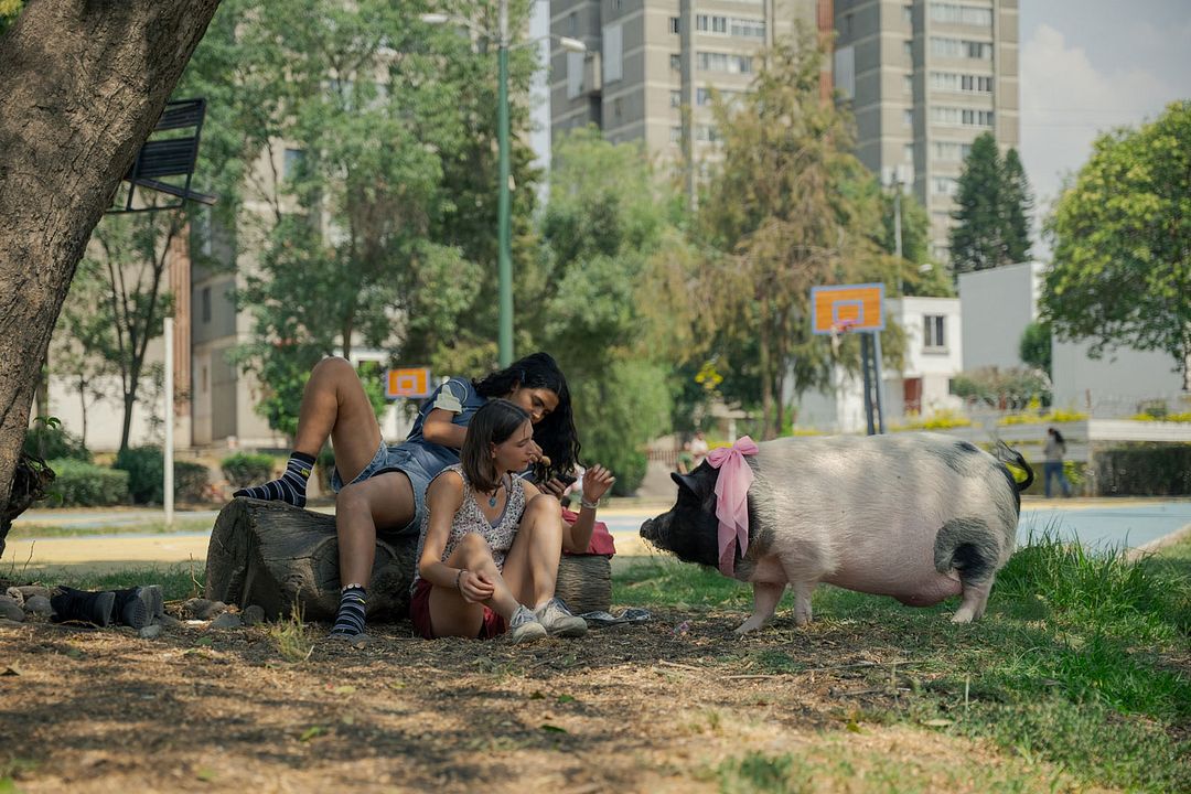 Chicas tristes : Fotoğraf
