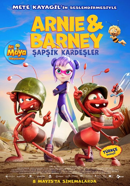 Arnie & Barney Şapşik Kardeşler : Afiş