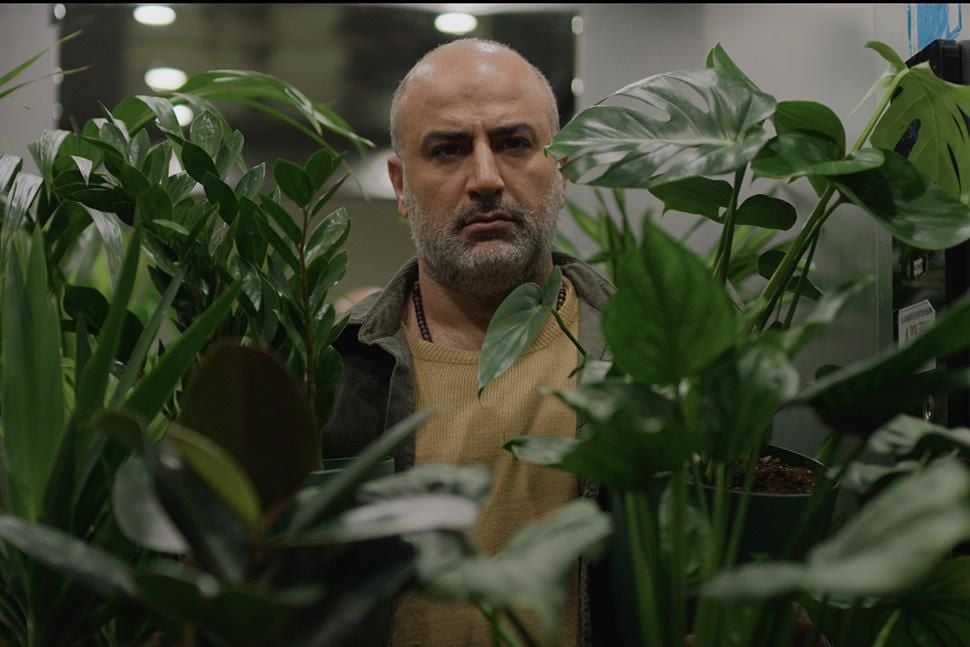 Kami Nour : Fotoğraf