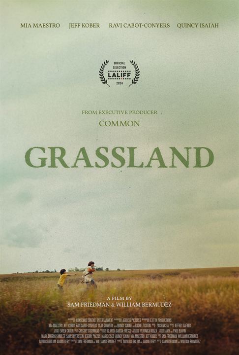 Grassland : Afiş