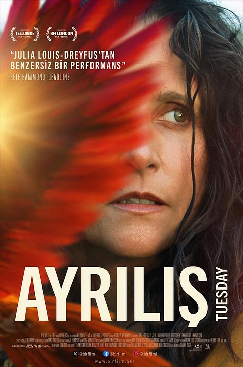 Ayrılış : Afiş