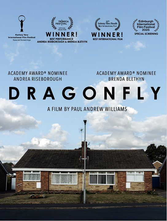 Dragonfly : Afiş