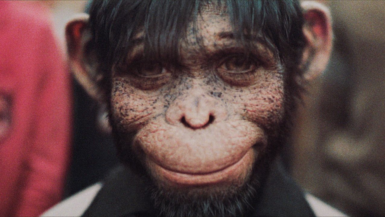 Better Man: Robbie Willams'ın Hikayesi : Fotoğraf