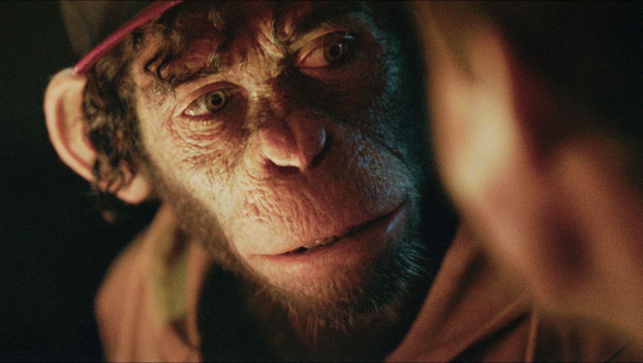 Better Man: Robbie Willams'ın Hikayesi : Fotoğraf