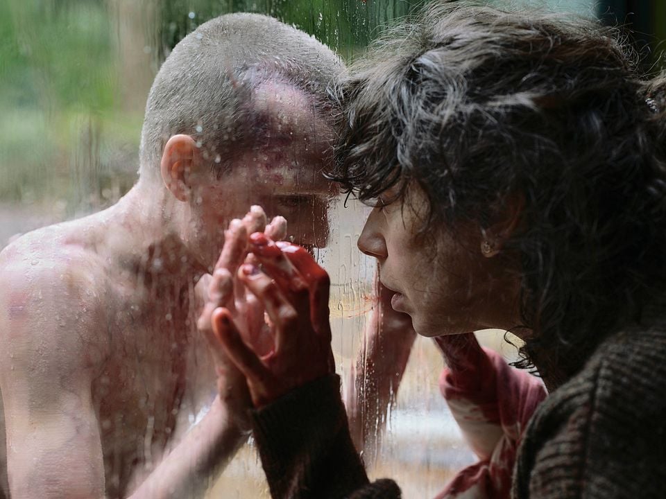 Onu Geri Getir : Fotoğraf Jonah Wren Phillips, Sally Hawkins