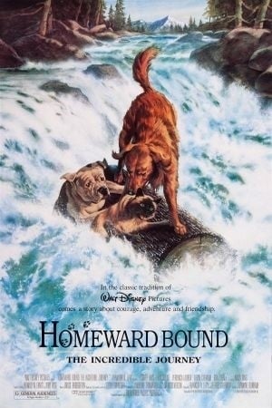 Hoomeward Bound : The Incredible Journey : Afiş