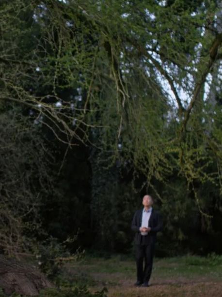 Silent Friend : Afiş