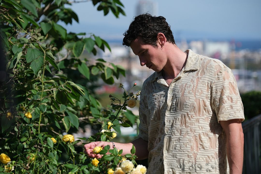 Rosebush Pruning : Fotoğraf