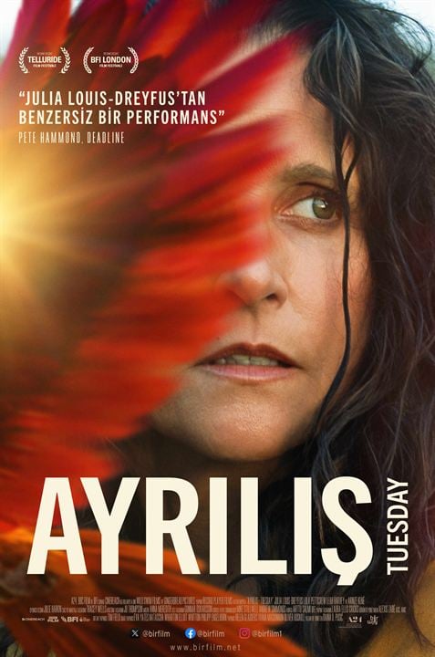 Ayrılış : Afiş