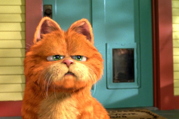 Garfield : Fotoğraf