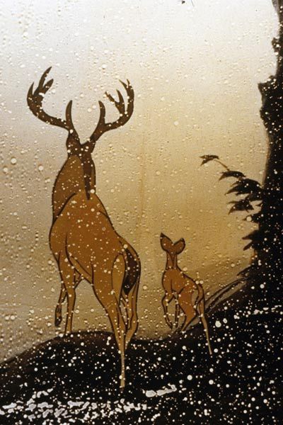 Bambi : Fotoğraf