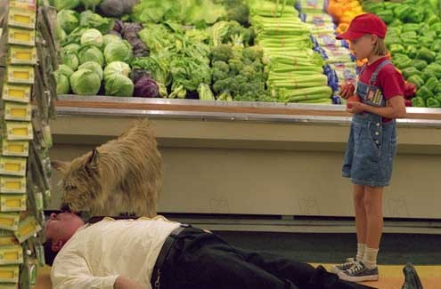 Because of Winn-Dixie : Fotoğraf Wayne Wang, AnnaSophia Robb