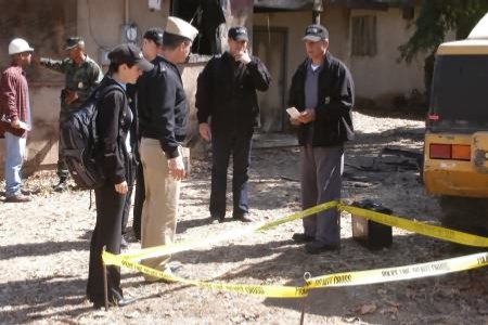 Fotoğraf Michael Weatherly, Sasha Alexander, Mark Harmon