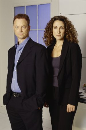 Fotoğraf Gary Sinise, Melina Kanakaredes