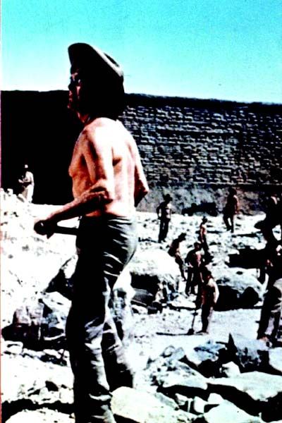 Fotoğraf Joseph L. Mankiewicz