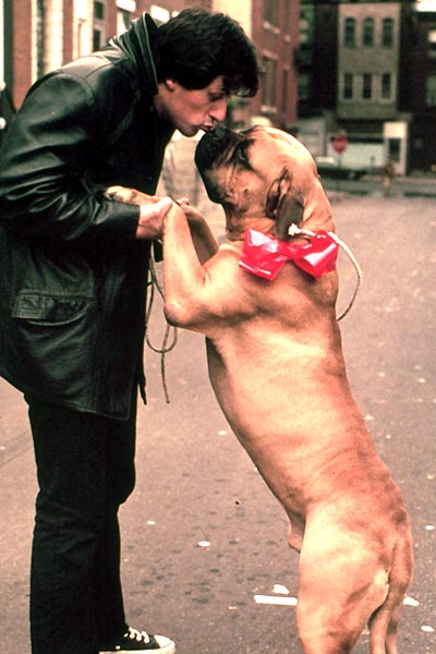 Rocky : Fotoğraf Sylvester Stallone, John G. Avildsen