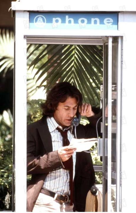 Başkanın Tüm Adamları : Fotoğraf Dustin Hoffman, Alan J. Pakula