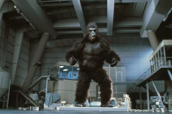 King Kong : Fotoğraf John Guillermin